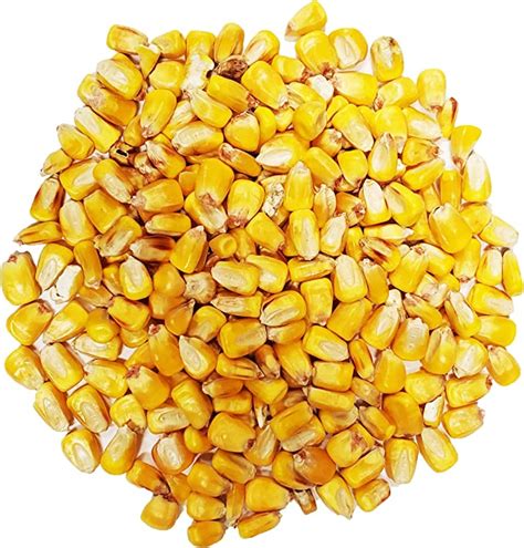 Whole Corn vs. Cracked .